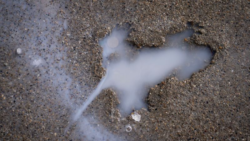 Ah, rats! Researchers say some other critter likely created Chicago’s ‘rat hole’ sidewalk landmark