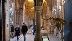 Visitors walk past the skeleton of a Giant Moa bird at the Natural History Museum in London on January 19, 2024.