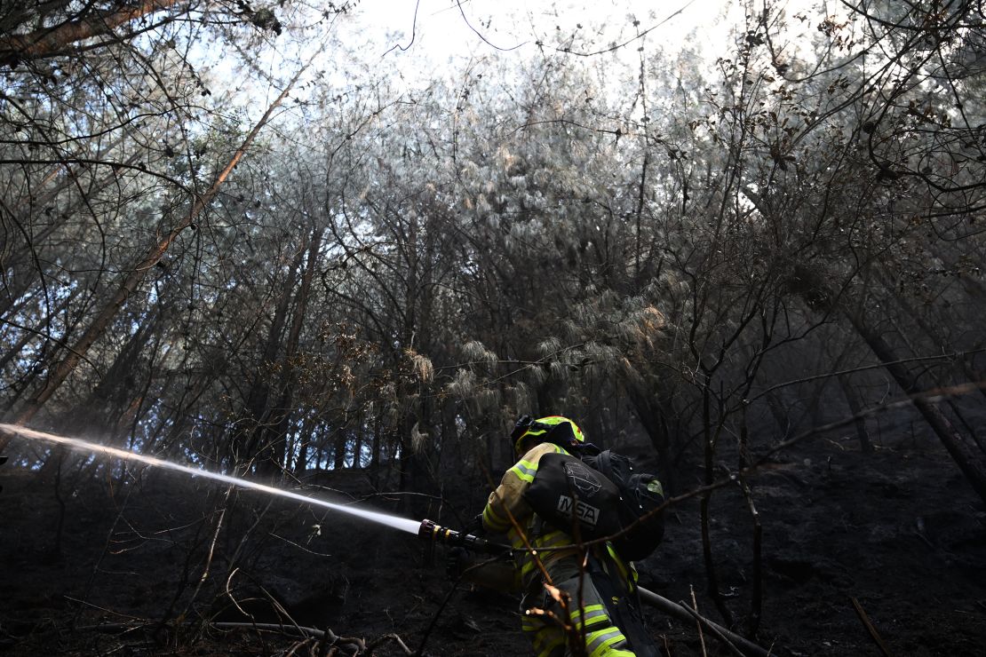 A firefighter puts out a forest fire in Bogota on January 25.