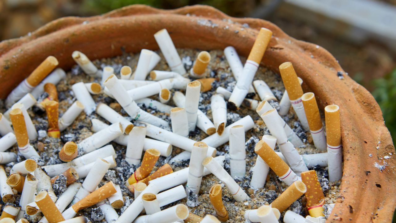 The many cigarette butts in the ashtray