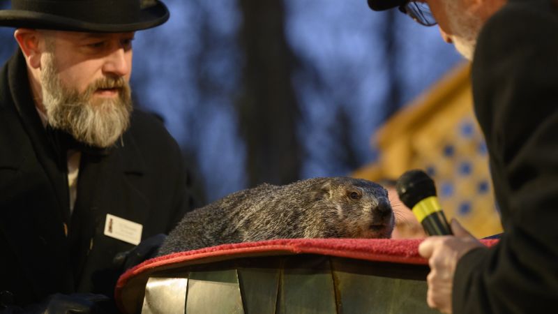 Punxsutawney Phil’s winter prediction is in. Here’s what the groundhog saw