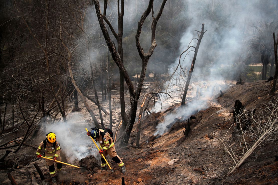 Firefighters at the Botanical Garden in Viña del Mar.