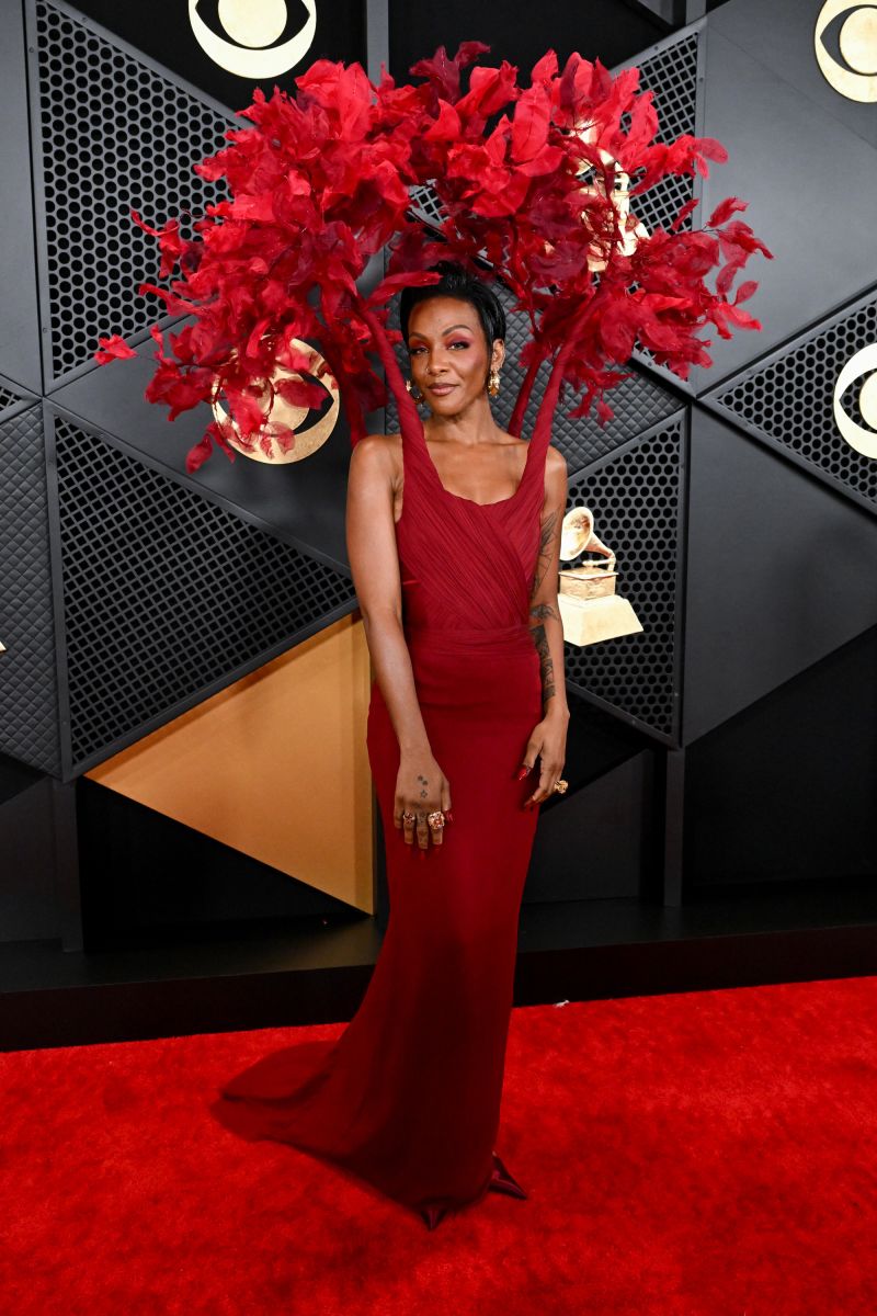 Grammys red carpet best sale