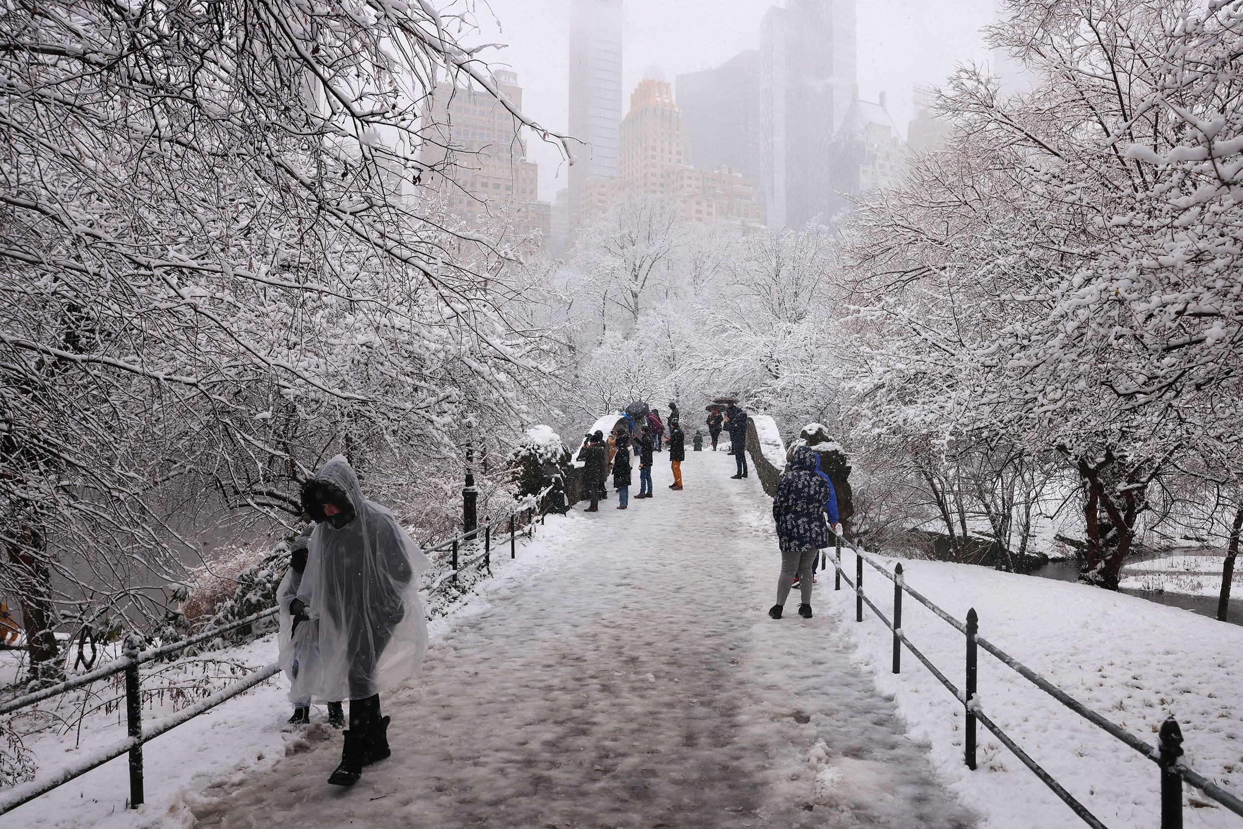 Powerful nor'easter pelts region with snow, making it New York City's  snowiest day in 2 years