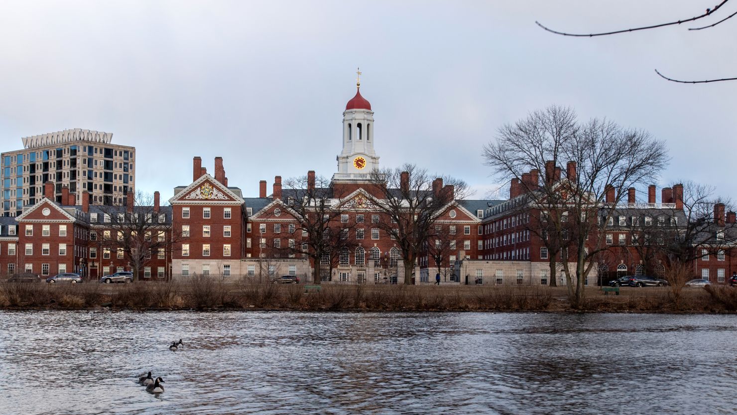 Harvard University and its interim president have condemned an antisemitic cartoon circulated by three campus groups, prompting them to remove the image from social media and apologize for it.