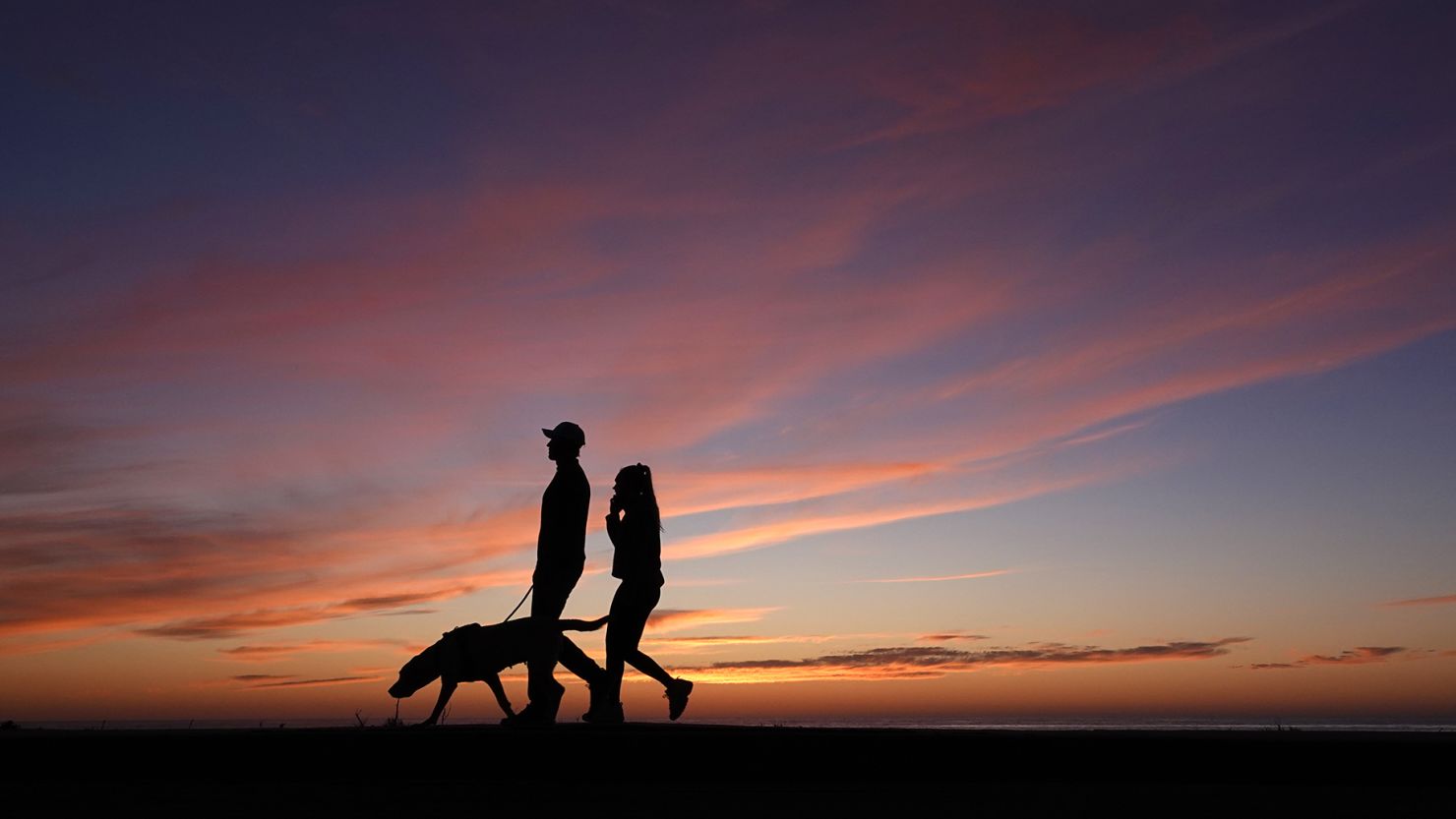 A key pet insurance provider said recently it is dropping about 100,000 policies in order to keep up with inflation in vet care and other factors.