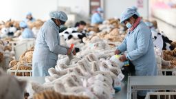 Workers at a toy export enterprise are producing plush toys for export in Lianyungang, China, on March 2, 2024.