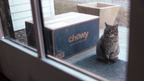 A cat sits next to a Chewy shipping box arranged outside a house in Germantown, New York, Monday, Feb. 19, 2024.