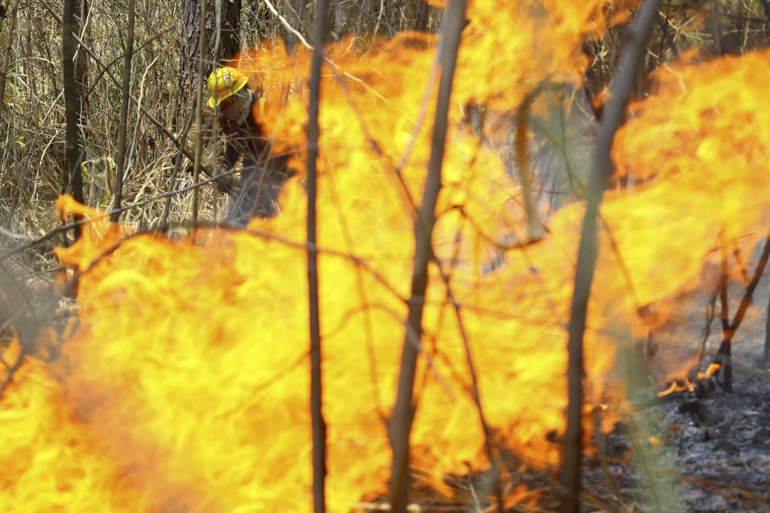 Firefighters fight a forest fire in the municipality of Naguanagua, Carabobo State, Venezuela, on March 27.