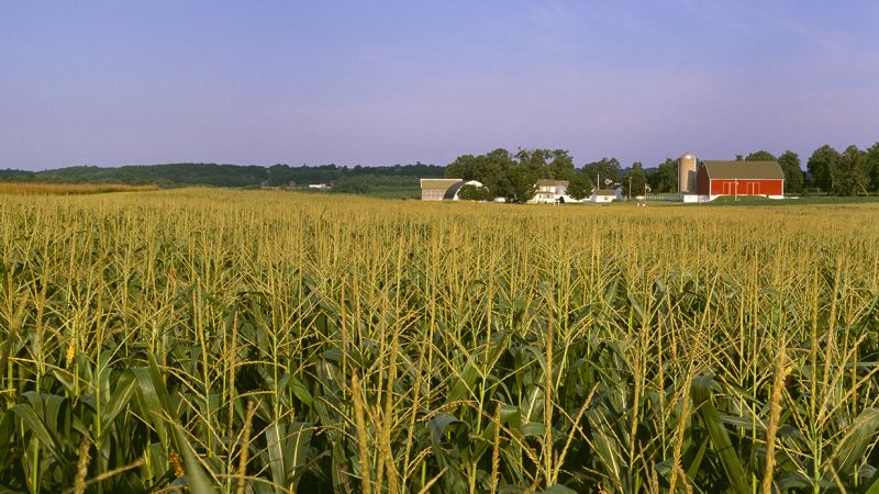 ‘A huge blow’: USDA cuts threaten to throw Wisconsin’s local food supply into disarray