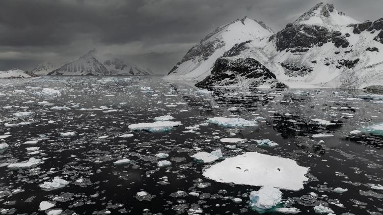 ANTARCTICA - APRIL 11: An aerial view of seals resting on an ice mass as Turkish scientists conduct a protection for the southern polar creatures, which are heavily affected by the consequences of global climate change, with the rules and observations they apply in their work in Antarctica on April 11, 2024. (Photo by Sebnem Coskun/Anadolu via Getty Images)