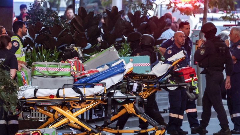 Австралийската полиция заяви в понеделник че нападателят който намушка смъртоносно