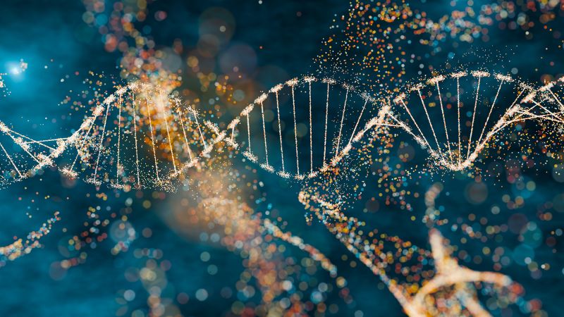 Ancient viral DNA may play a key role in early human development, new study suggests