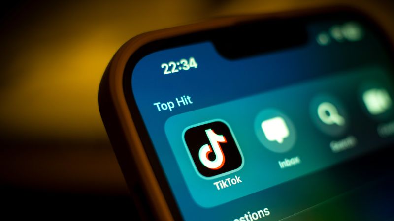 TikTok Sues to Block US Law That Could Lead to a Ban of the App