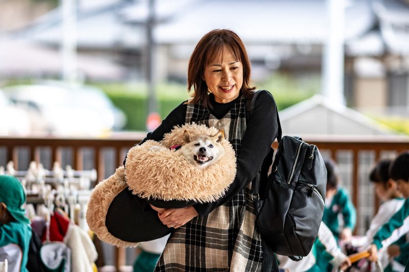 犬ドージ Kabosu, Shiba Inu dog who inspired 'Doge' meme, dies at 18