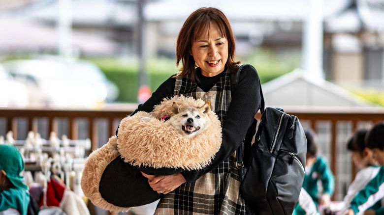 Kabosu pictured with her owner Atsuko Sato playing with kindergarten students in Chiba prefecture, east of Tokyo, in March 2024.