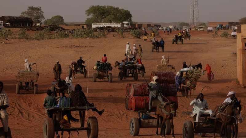 Хора, които ядат „трева и черупки от фъстъци“ в Дарфур, казва ООН, докато кризата с глада обхваща опустошения от война Судан