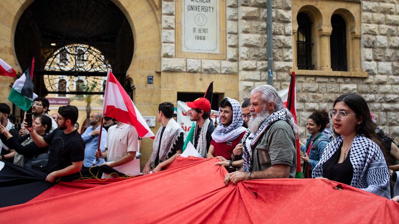 Where pro-Palestinian university protests are happening around the world