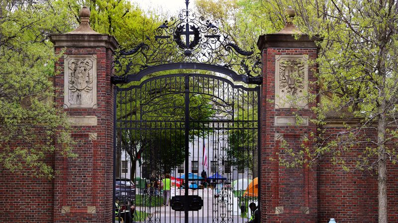 Harvard’s antisemitism and anti-Muslim task forces urge the university to act soon