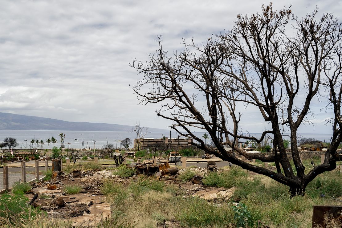 Burned trees and debris of a property damaged by last year's wildfire are seen in Lahaina, Hawaii, on May 3, 2024.