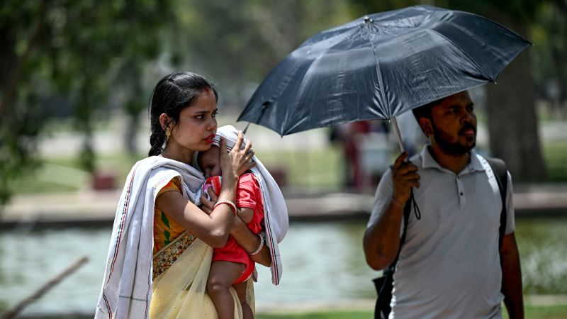 Record-Breaking Heatwave in India: 50 People Dead, Water Shortages, and Temperatures Near 50 Degrees Celsius