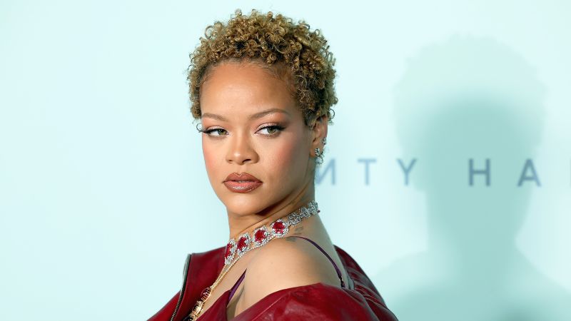 https://media.cnn.com/api/v1/images/stellar/prod/gettyimages-2157053348.jpg?c=16x9&q=w_800,c_fill