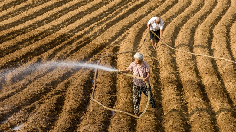 Farmers spray water on a field following weeks of sweltering weather on June 11, 2024 in Zhumadian, Henan province, China.