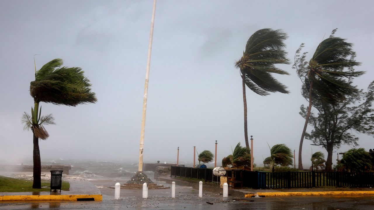 KINGSTON, JAMAICA - JULY 03: Palm trees sway as the wind and rain from Hurricane Beryl pass through on July 03, 2024, in Kingston, Jamaica. Beryl has caused widespread damage in several island nations as it continues to cross the Caribbean.  (Photo by Joe Raedle/Getty Images)