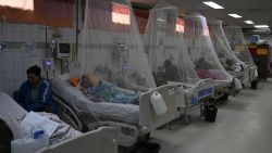 Dengue fever patients rest under a mosquito net at the Hospital Escuela Universitario in Tegucigalpa on July 12, 2024. . An outbreak of dengue fever in Central America has left a hundred dead this year, with Guatemala accounting for half of the deaths, health officials reported on Friday. (Photo by Orlando SIERRA / AFP) (Photo by ORLANDO SIERRA/AFP via Getty Images)