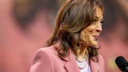 DALLAS, TEXAS - JULY 10: U.S. Vice President Kamala Harris speaks to members of the Alpha Kappa Alpha Sorority at the Kay Bailey Hutchison Convention Center on July 10, 2024 in Dallas, Texas. The Vice President spoke to approximately 20,000 members from her sorority in a continued effort to rally support ahead of the upcoming November Presidential election.  (Photo by Brandon Bell/Getty Images)