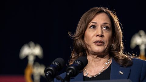 Democratic presidential candidate Vice President Kamala Harris speaks to supporters during a campaign rally at West Allis Central High School on July 23, 2024 in West Allis, Wisconsin.