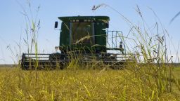 President Donald Trump said Monday that Japan "won't take" rice from the United States, prompting him to threaten higher tariffs.
