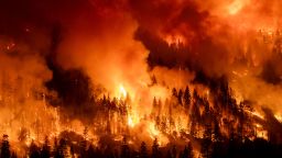 CHICO, CALIFORNIA - JULY 30: The Park Fire burns through the night on July 30, 2024 near Chico, California. The Park Fire is now the fifth largest wildfire in California history, growing to 385,064 acres with 14 precent contained. The fire was started by arson on July 24 and grew to more than 70,000 acres in the first 24 hours.  (Photo by David McNew/Getty Images)