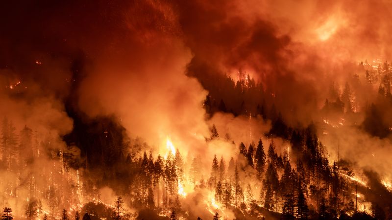 Wildfires engulf Los Angeles. Why is this happening during the winter?