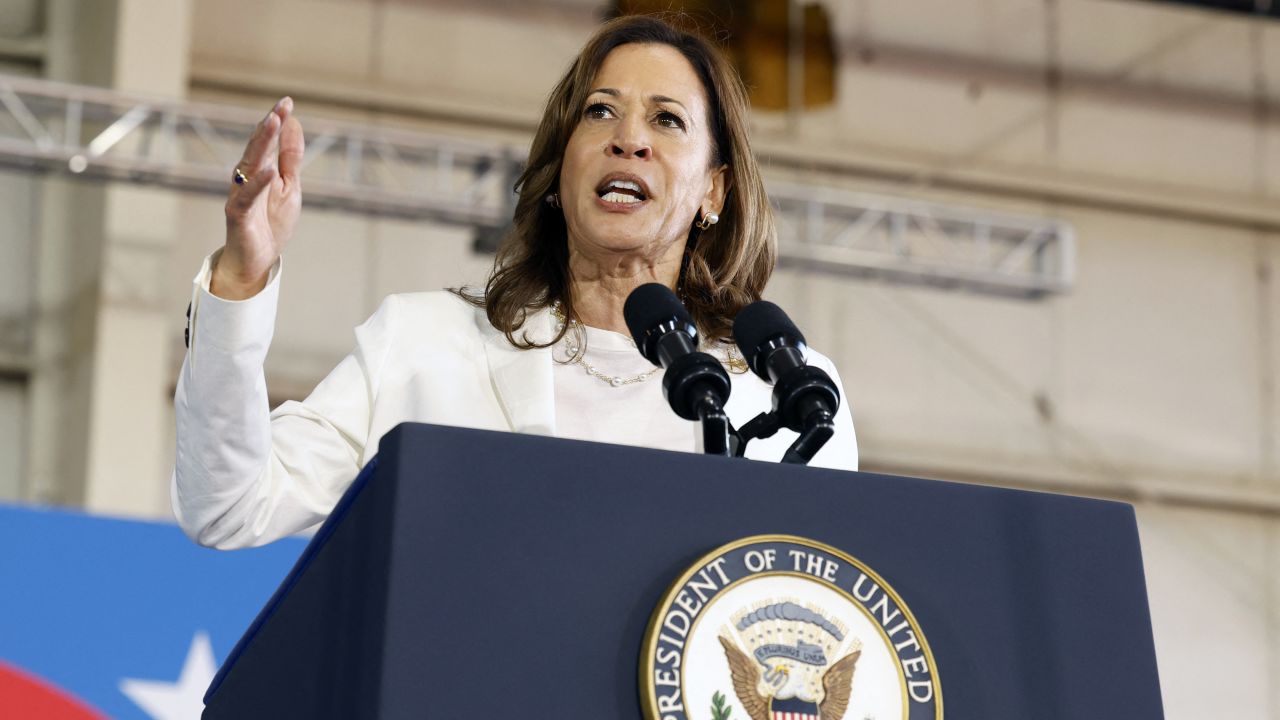 US Vice President and Democratic presidential candidate Kamala Harris speaks during a campaign rally at Detroit Metropolitan Airport in Romulus, Michigan, August 7, 2024. (Photo by JEFF KOWALSKY / AFP) (Photo by JEFF KOWALSKY/AFP via Getty Images)