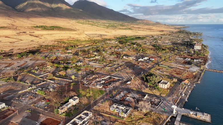 LAHAINA, HAWAII - AUGUST 04: An aerial view of vegetation regrowth amid areas destroyed or damaged by the Lahaina wildfire, including the iconic banyan tree (RIGHT C), on August 4, 2024 in Lahaina, Hawaii. August 8 marks the one-year anniversary of the Maui wildfires which killed 102 people and devastated the historic community of Lahaina in West Maui. Plaintiffs involved in the Lahaina wildfire lawsuits against the government and utilities have reached a $4 billion global settlement of claims. (Photo by Mario Tama/Getty Images)