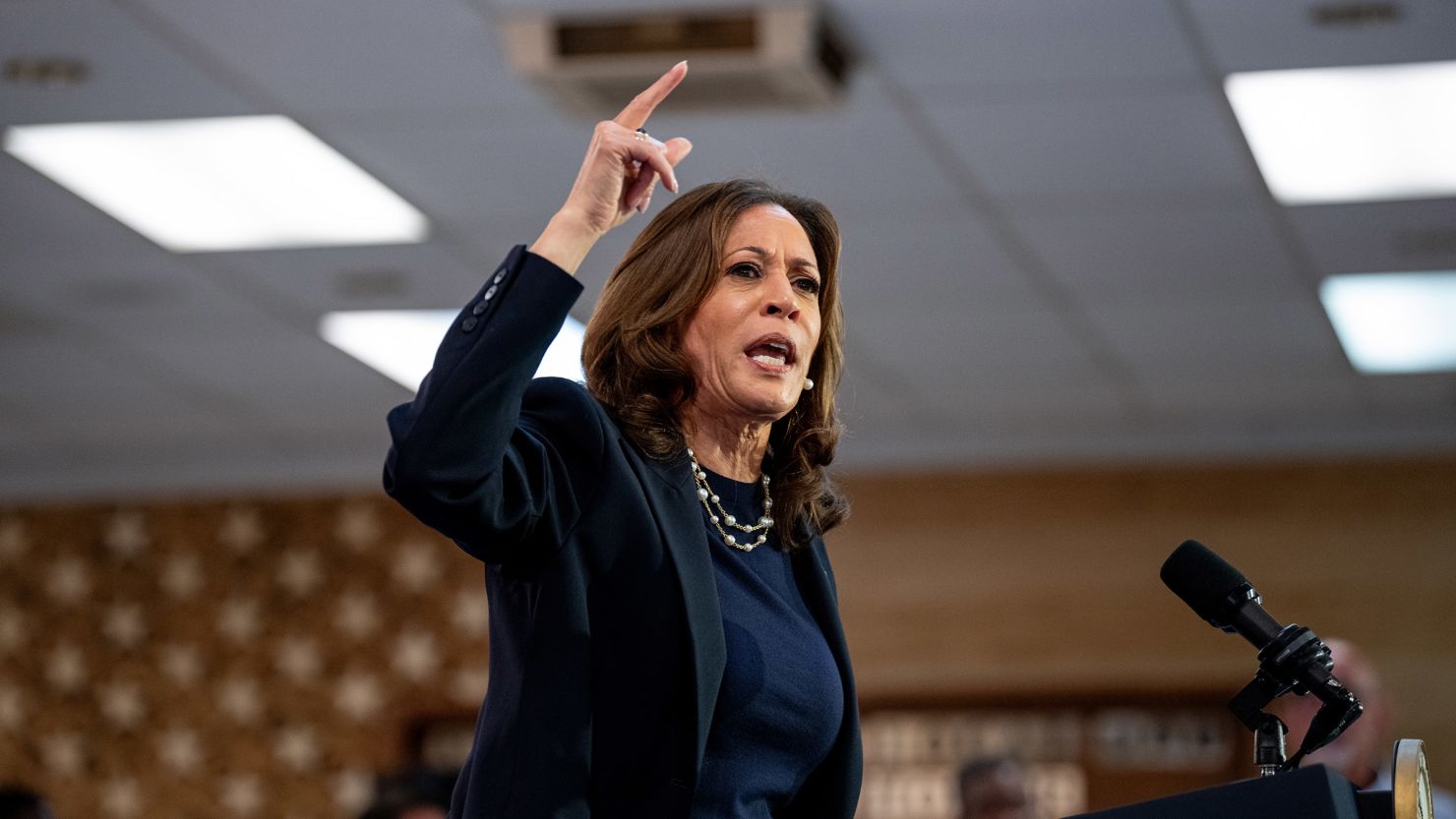 Democratic presidential candidate, Vice President Kamala Harris speaks at a campaign rally at United Auto Workers Local 900 in Wayne, Michigan on August 8, 2024.