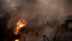 Volunteers and firefighters try to extinguish a wildfire near Penteli, on August 12, 2024. Greece's civil protection authorities ordered the evacuation of several towns in the north-eastern suburbs of Athens, threatened by a violent fire that started the day before and is spreading. European Union said that four countries -- Italy, France, the Czech Republic and Romania -- would send assistance at the request of Greece which is combating a massive wildfire burning through Athens suburbs. (Photo by Angelos TZORTZINIS / AFP) (Photo by ANGELOS TZORTZINIS/AFP via Getty Images)