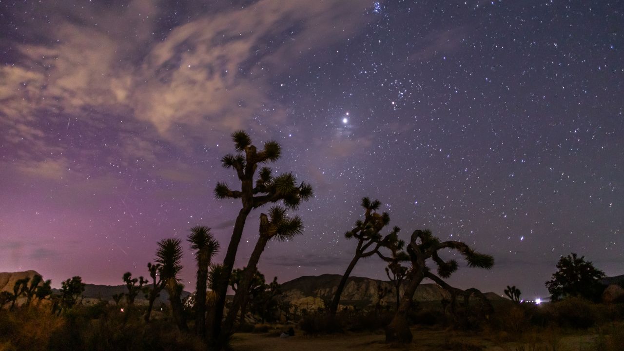 Northern Lights (Aurora Borealis) illuminate the sky above Joshua Tree National Park during the Perseids Meteor shower in Joshua Tree, California, early on August 12, 2024. Strong solar activity caused these dazzling celestial arrays to appear in lower latitudes around the world. (Photo by Apu GOMES / AFP) (Photo by APU GOMES/AFP via Getty Images)