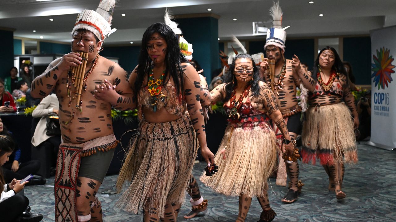 Indigenous people perform during the International Meeting of Indigenous Peoples of the Amazon Basin, in the framework of the COP16 summit on biodiversity to be held in Cali between October and November, in Bogota on August 14, 2024. (Photo by Raul ARBOLEDA / AFP) (Photo by RAUL ARBOLEDA/AFP via Getty Images)