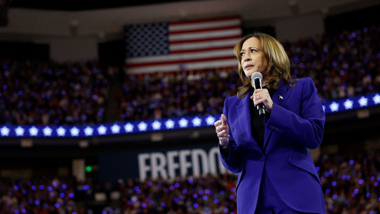 Vice President Kamala Harris speaks at a campaign rally at the Fiserv Forum on August 20, 2024, in Milwaukee, Wisconsin.