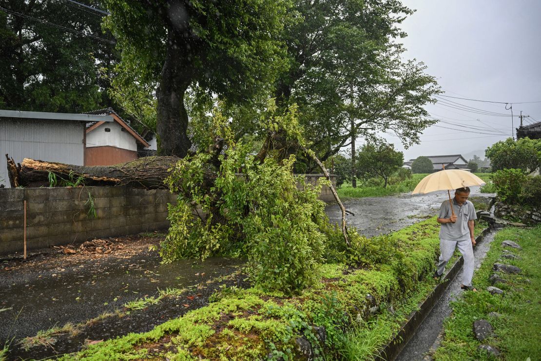 A man walks past a fallen tree brought down by strong winds from Typhoon Shanshan in Usa, Oita prefecture, Japan on August 29, 2024.