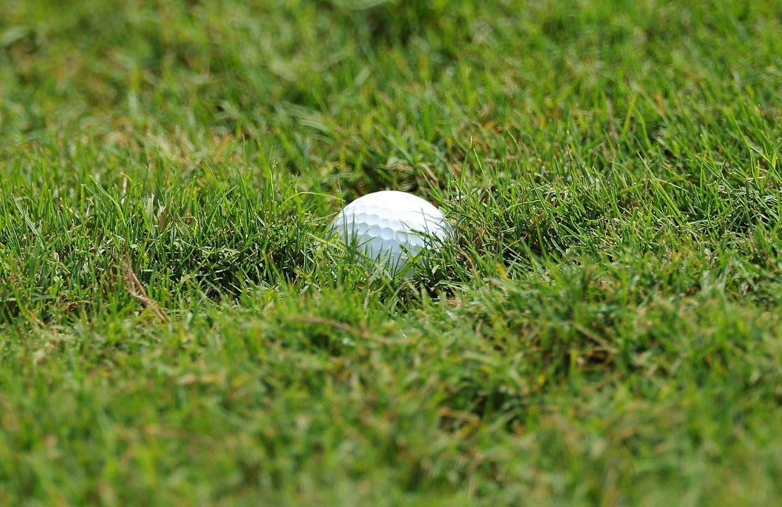 Standard golf balls can take decades, even centuries, to decompose.