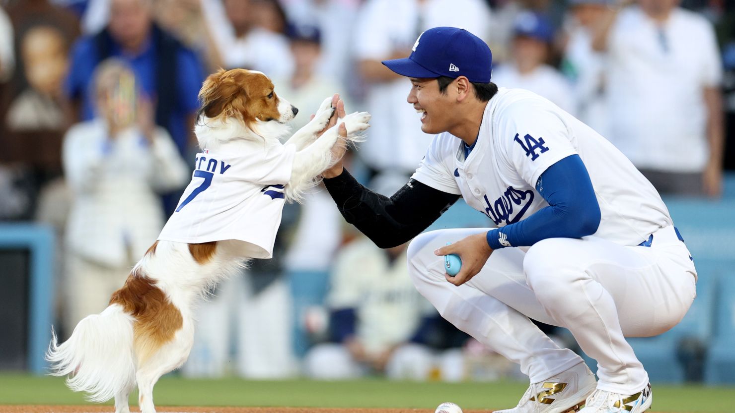 LOS ANGELES, CALIFORNIA - AUGUST 28: Shohei Ohtani #17 of the Los Angeles Dodgers and his dog Decoy delivers a ceremonial first before the game against the Baltimore Orioles on Shohei Ohtani #17 bobblehead giveaway night at Dodger Stadium on August 28, 2024 in Los Angeles, California. (Photo by Harry How/Getty Images)