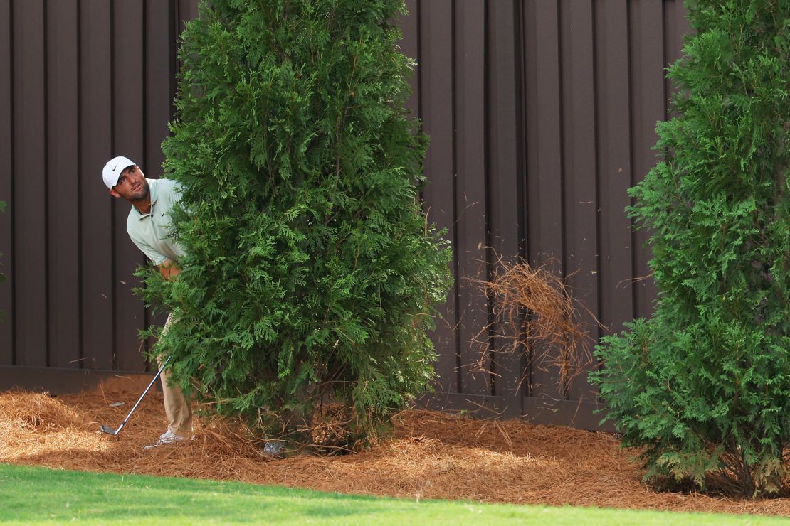 Scheffler was forced to play an awkward shot from under a tree.