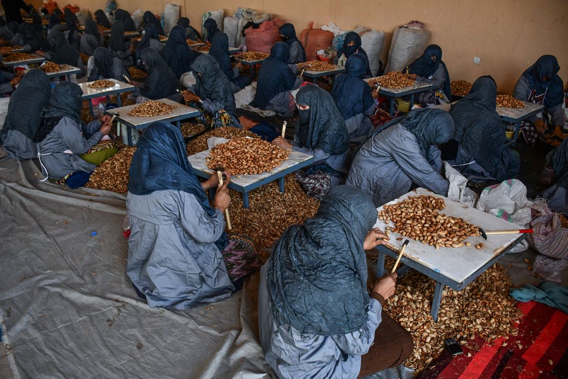 Afghan women prepare almonds at a factory on the outskirts of Aybak in Samangan Province on September 9, 2024.