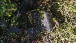 TOPSHOT - This aerial view shows the wreckage of the military helicopter that crashed on the eve in Pasaquina, El Salvador, on September 9, 2024. Police director and leader of the 'war' against gangs, Commissioner Mauricio Arriaza, and his companions were killed when the military helicopter they were travelling in crashed in northeastern El Salvador, the army said. (Photo by Marvin RECINOS / AFP) (Photo by MARVIN RECINOS/AFP via Getty Images)