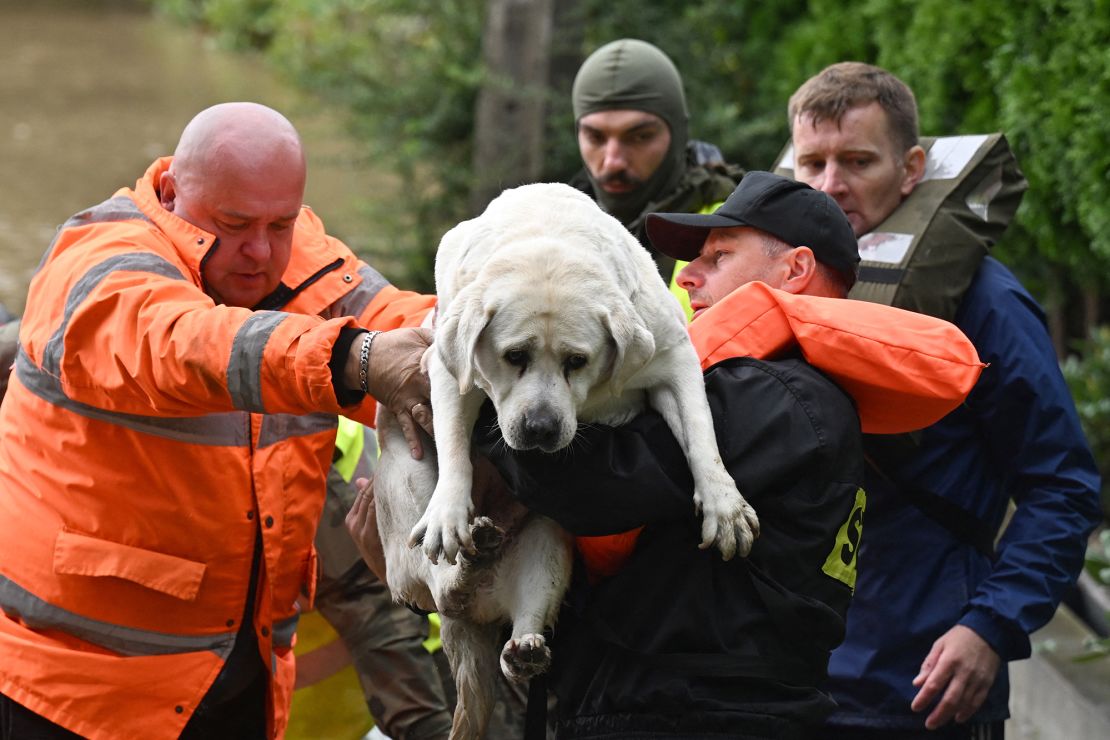 Rescatistas y soldados polacos evacuan a los residentes locales y a su perro en el pueblo de Rudawa, en el sur de Polonia, el 15 de septiembre de 2024.