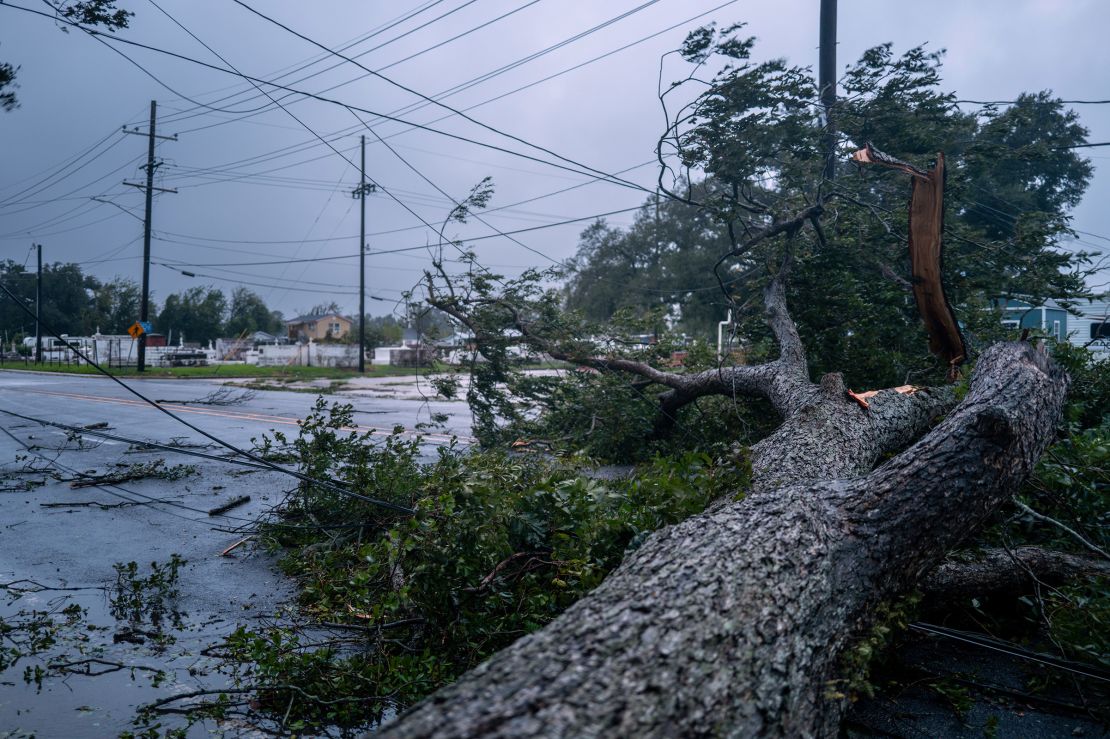 A fallen tree blocks an intersection in Houma, Louisiana on Wednesday.