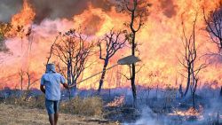 A resident near Brasilia National Park tries to contain the forest fire that is raging in the park so that it doesn't reach their homes in Brasilia, Brazil, on September 15, 2024. In the midst of the worst drought since records have been kept, Brazil continues to battle thousands of fires on September 13, with smoke affecting some of its major cities, such as Sao Paulo and Rio de Janeiro, and neighboring countries. (Photo by EVARISTO SA / AFP) (Photo by EVARISTO SA/AFP via Getty Images)